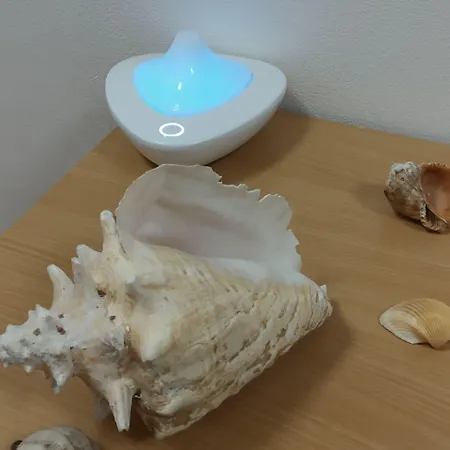 אכסניה White Coral Club קושיצה