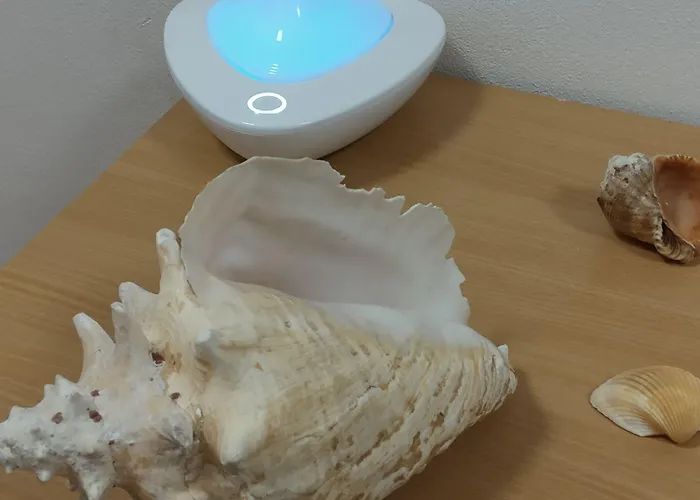 Hostal White Coral Club Košice