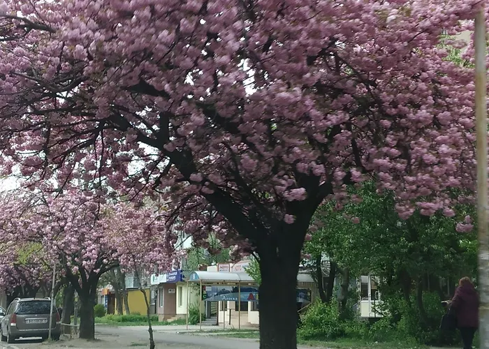 White Coral Club Ostello Košice